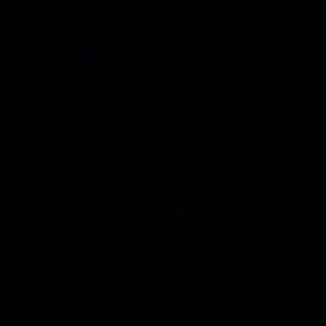 Meet your Posher, T.